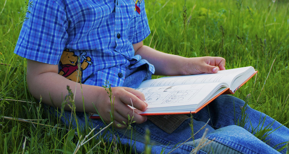 Bibliothèque – Médiathèque « L’oiseau Lyre »